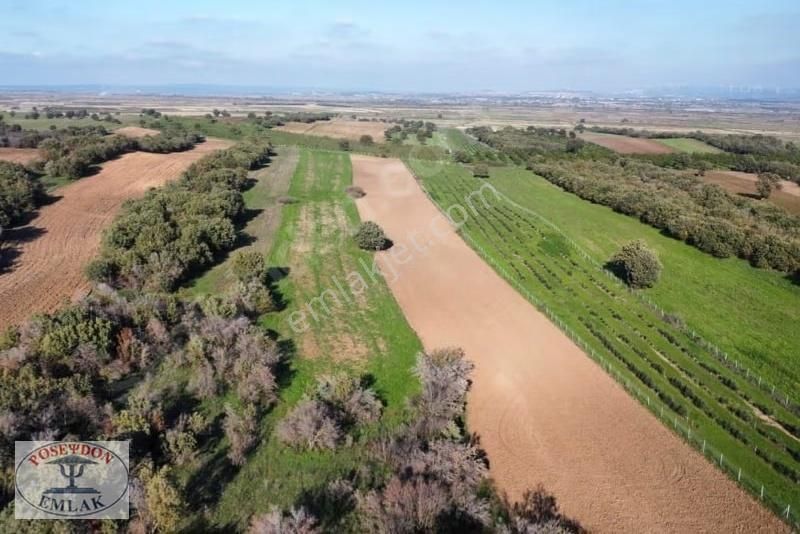 Ezine/mahmudiyede Uygun Fiyatlı Satılık Tarla - Görsel 11