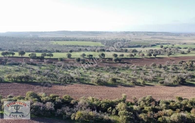 Ezine/mahmudiyede Uygun Fiyatlı Satılık Tarla - Görsel 9