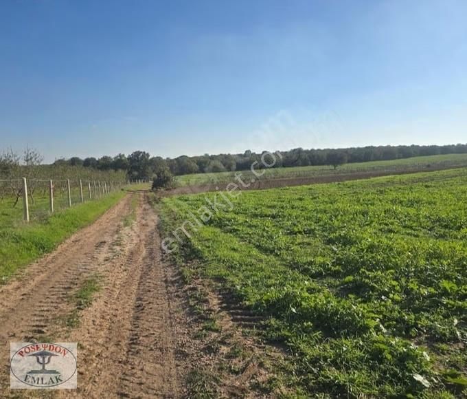 Ezine/mahmudiyede Uygun Fiyatlı Satılık Tarla - Görsel 30