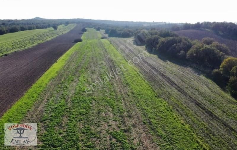 Ezine/mahmudiyede Uygun Fiyatlı Satılık Tarla - Görsel 16