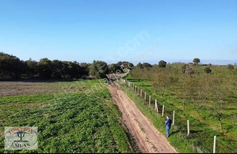 Ezine/mahmudiyede Uygun Fiyatlı Satılık Tarla - Görsel 25