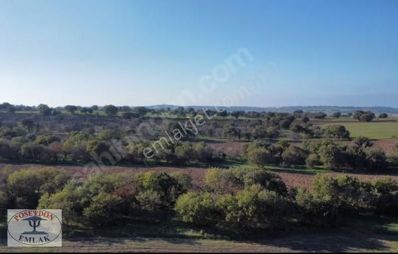 Ezine/mahmudiyede Uygun Fiyatlı Satılık Tarla - Görsel 10
