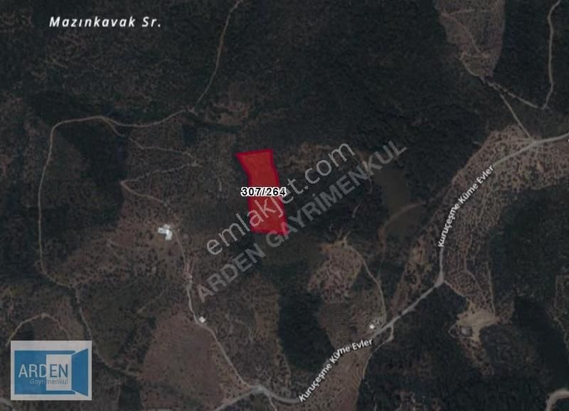 Seferihisar Ulamış'ta 10.783m² Zeytinlik: Yatırımlık Fırsat! - Görsel 2