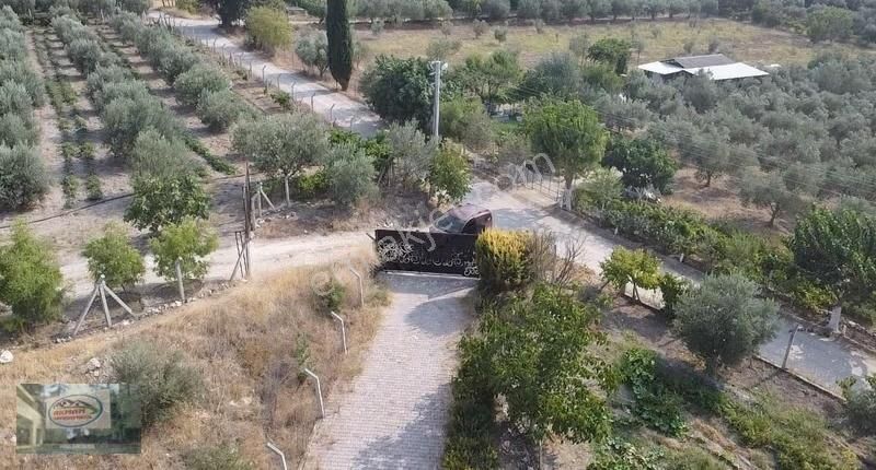 Akman Gayrimenkul'den Üçpınar Mah'de Satılık 7500 M2 Arazi Ve Ev - Görsel 30