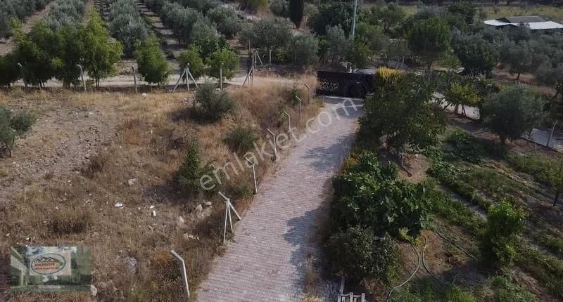 Akman Gayrimenkul'den Üçpınar Mah'de Satılık 7500 M2 Arazi Ve Ev - Görsel 17