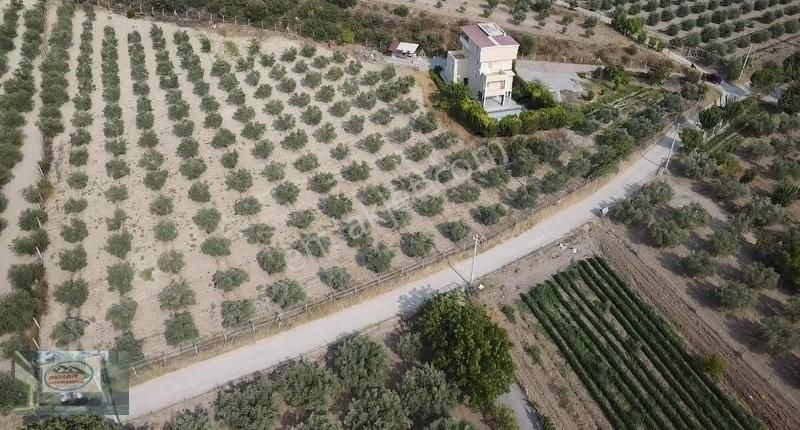 Akman Gayrimenkul'den Üçpınar Mah'de Satılık 7500 M2 Arazi Ve Ev - Görsel 8