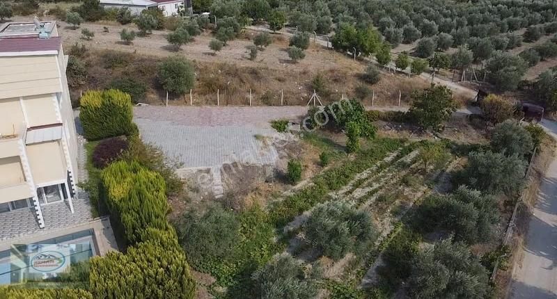 Akman Gayrimenkul'den Üçpınar Mah'de Satılık 7500 M2 Arazi Ve Ev - Görsel 2