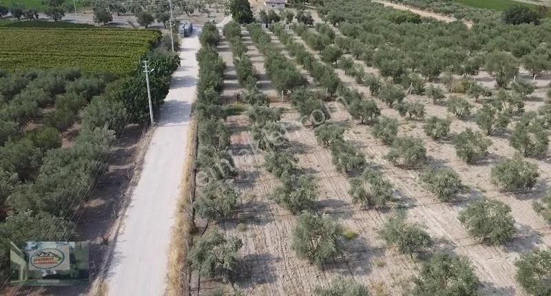 Akman Gayrimenkul'den Üçpınar Mah'de Satılık 7500 M2 Arazi Ve Ev - Görsel 3