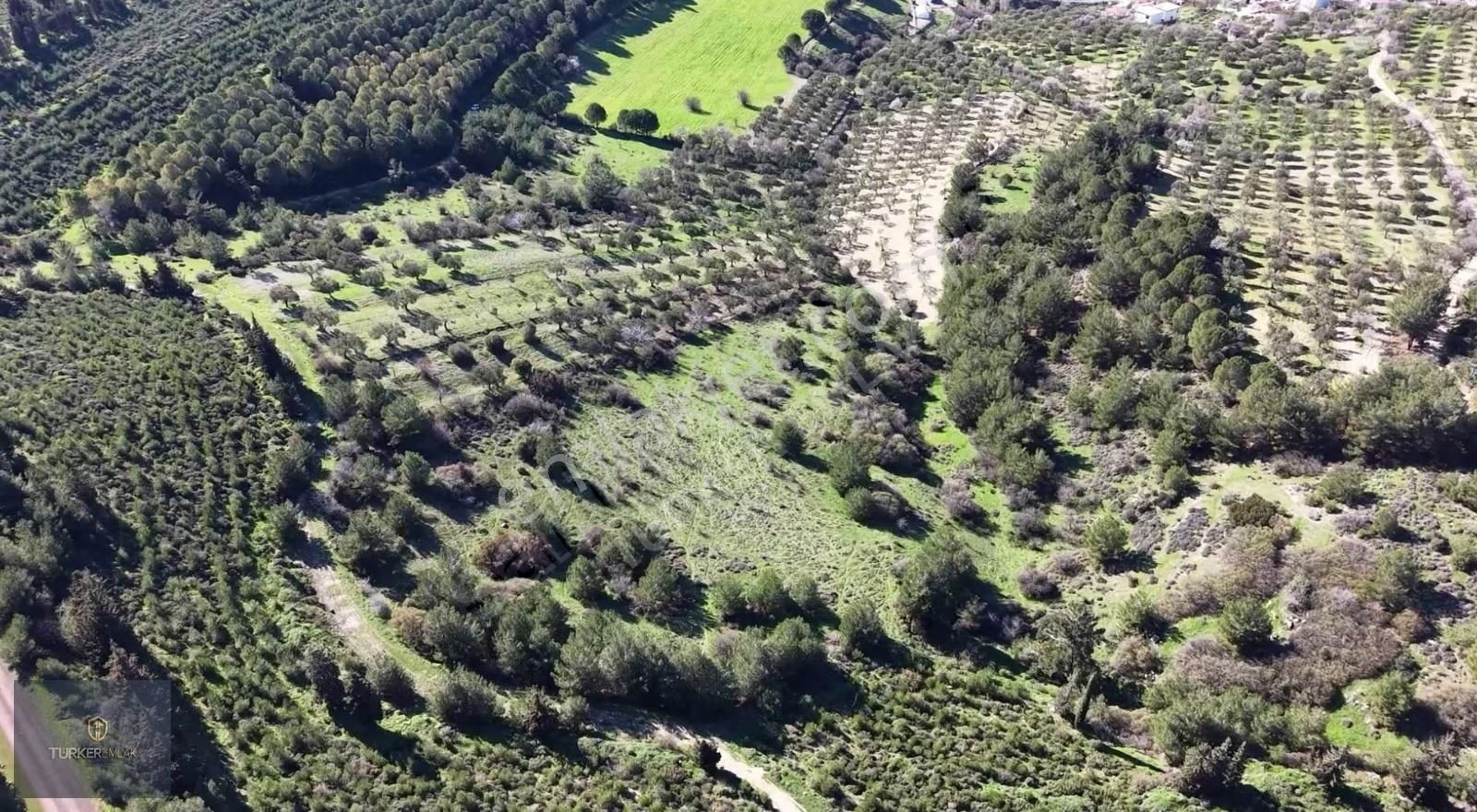 Türker Emlak-samurlu Köyü Üstünde 1537m² Satılık Tarla - Görsel 4