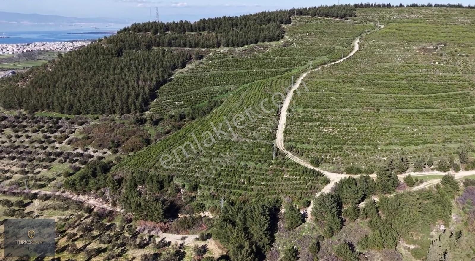 Türker Emlak-samurlu Köyü Üstünde 1537m² Satılık Tarla - Görsel 2