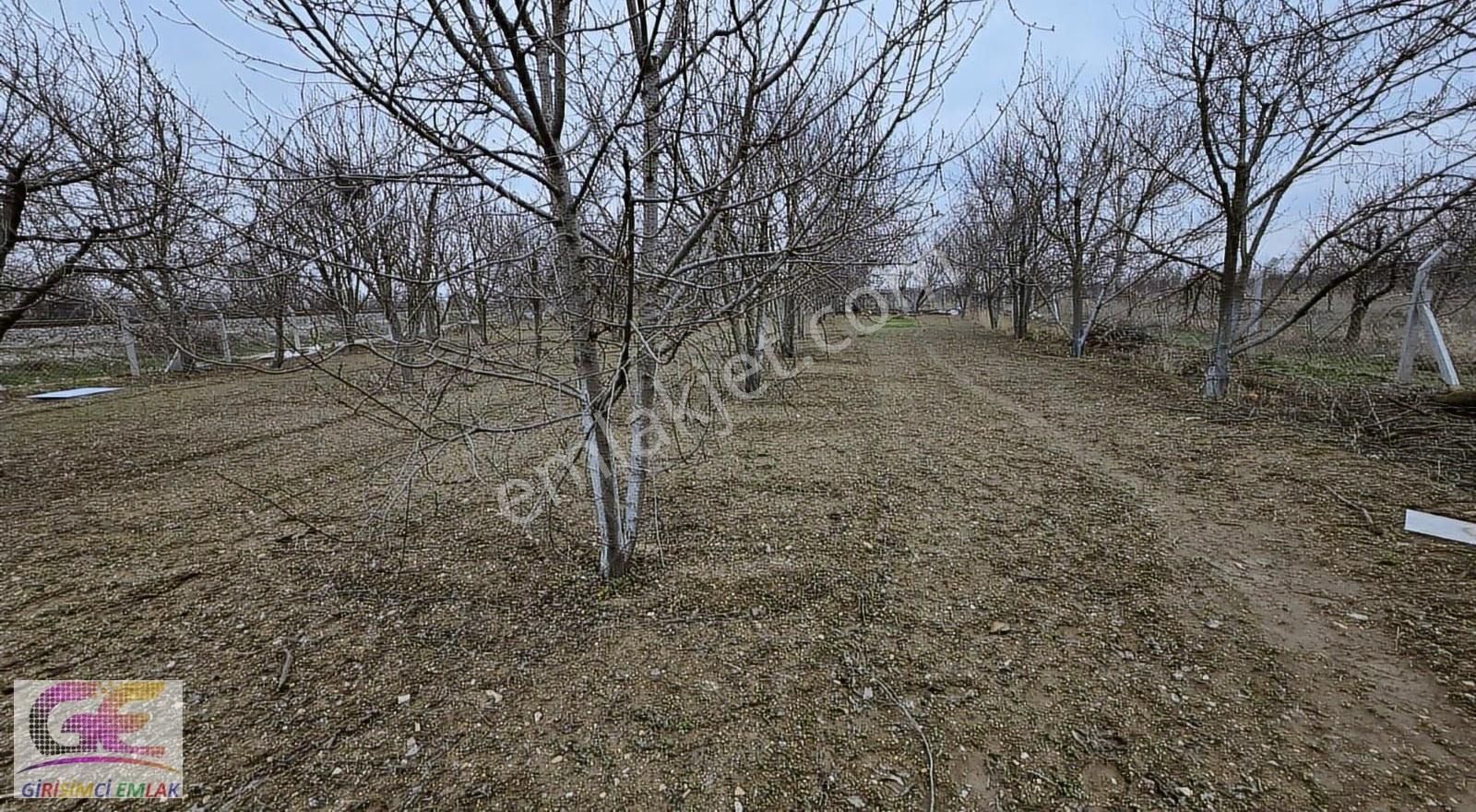 Girişimciden Doğrugözde Satılık Full Yapılı Hobi Bahçesi Ve Evi - Görsel 9