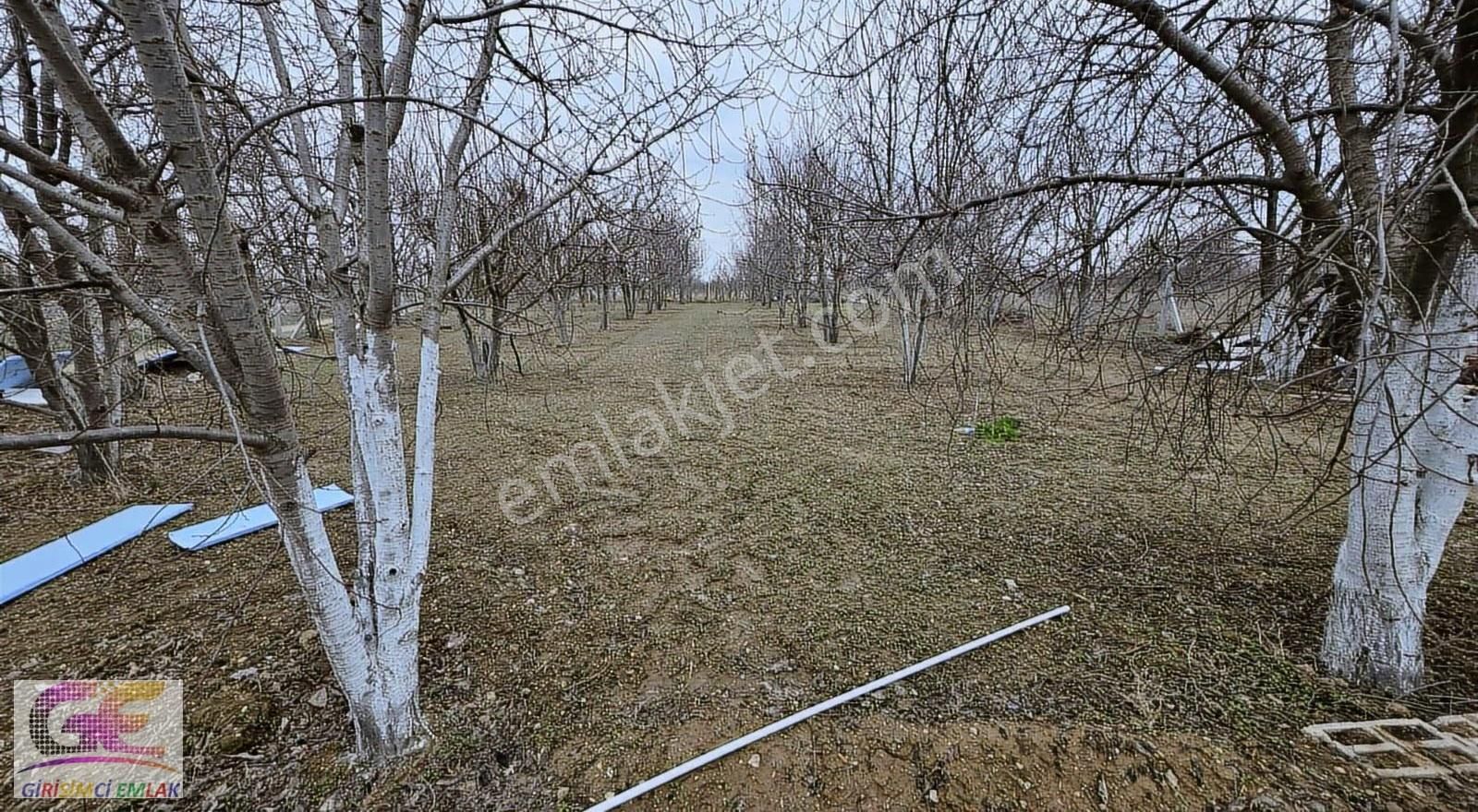 Girişimciden Doğrugözde Satılık Full Yapılı Hobi Bahçesi Ve Evi - Görsel 2