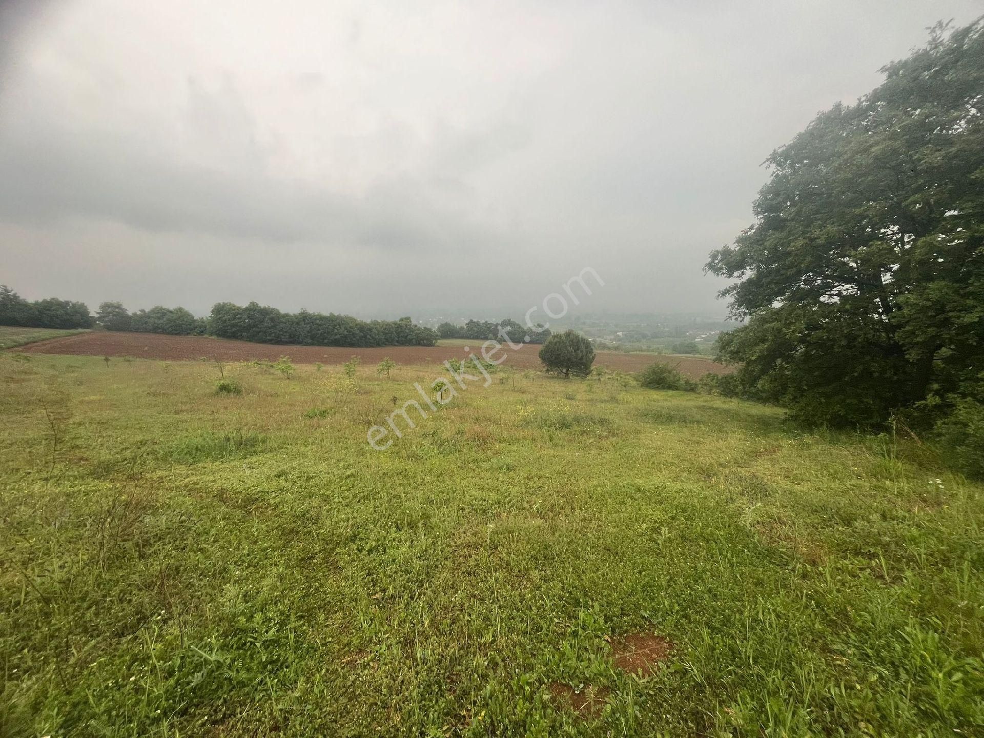 2800 M2 Acil Satılık Tarla - Görsel 3