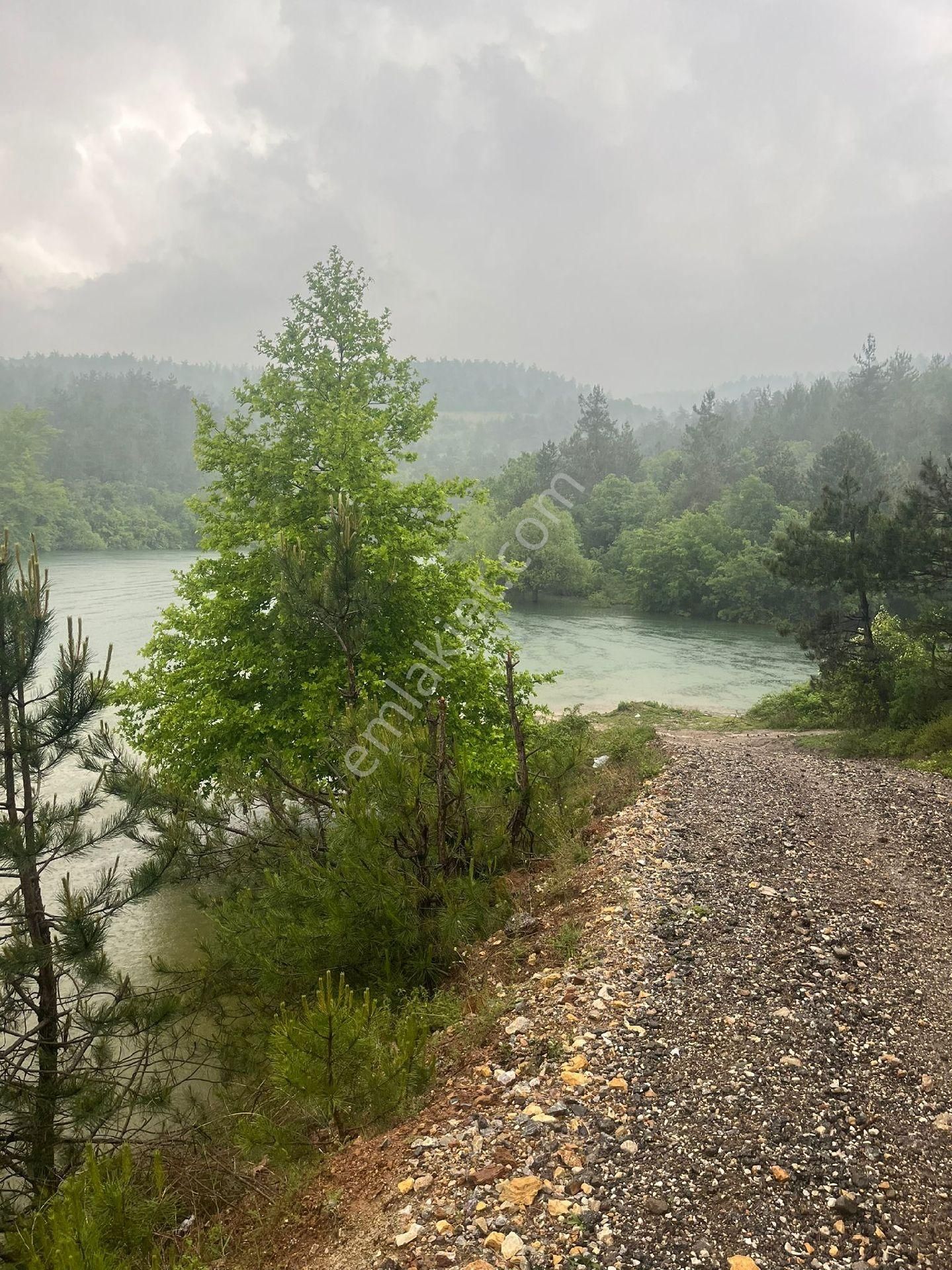 2800 M2 Acil Satılık Tarla - Görsel 7