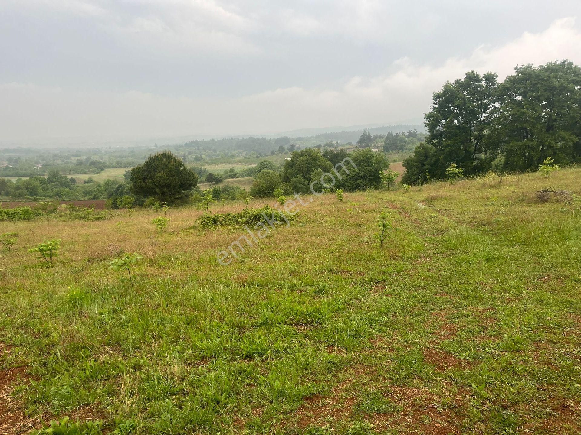 2800 M2 Acil Satılık Tarla - Görsel 4