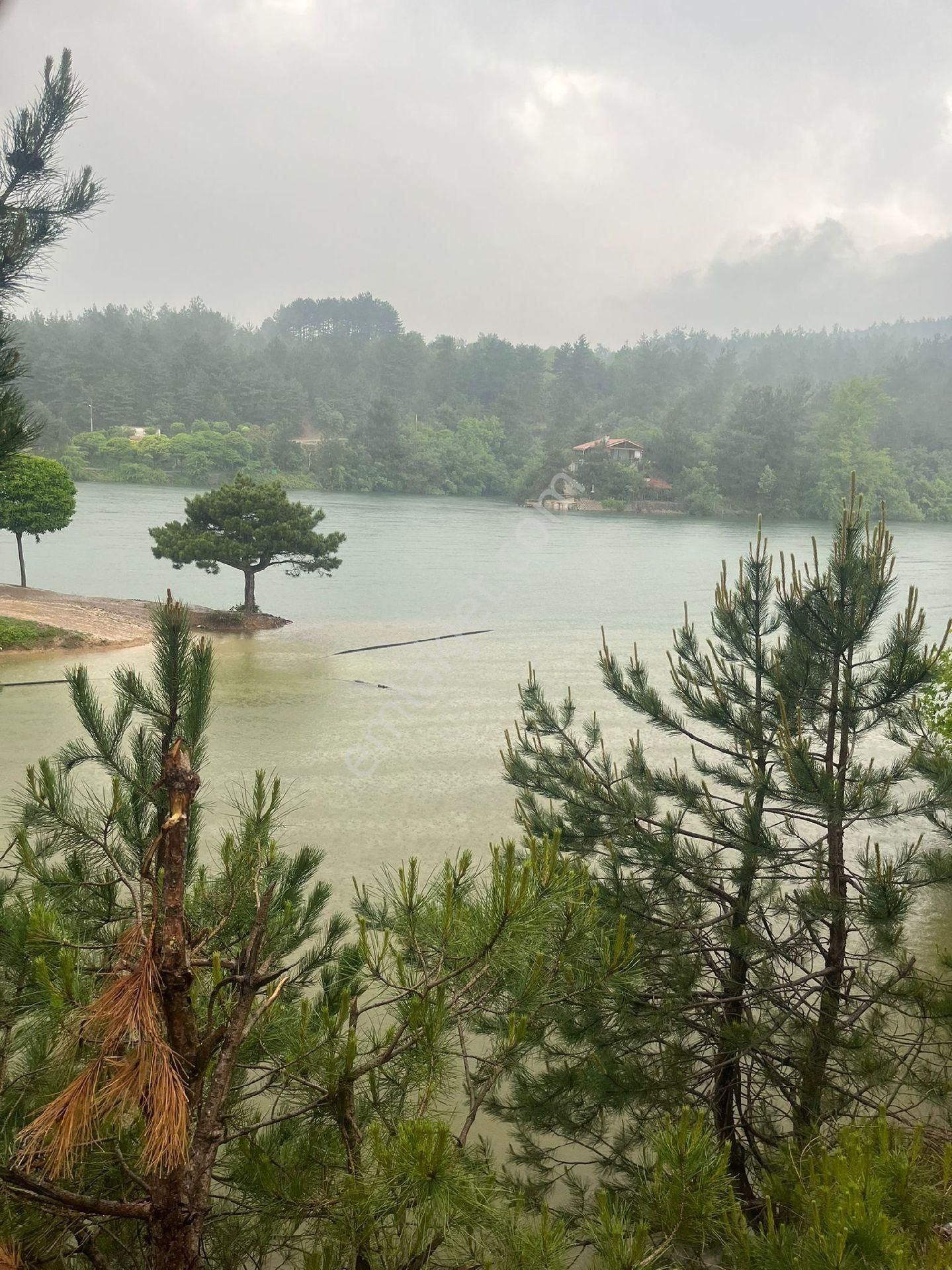 2800 M2 Acil Satılık Tarla - Görsel 8