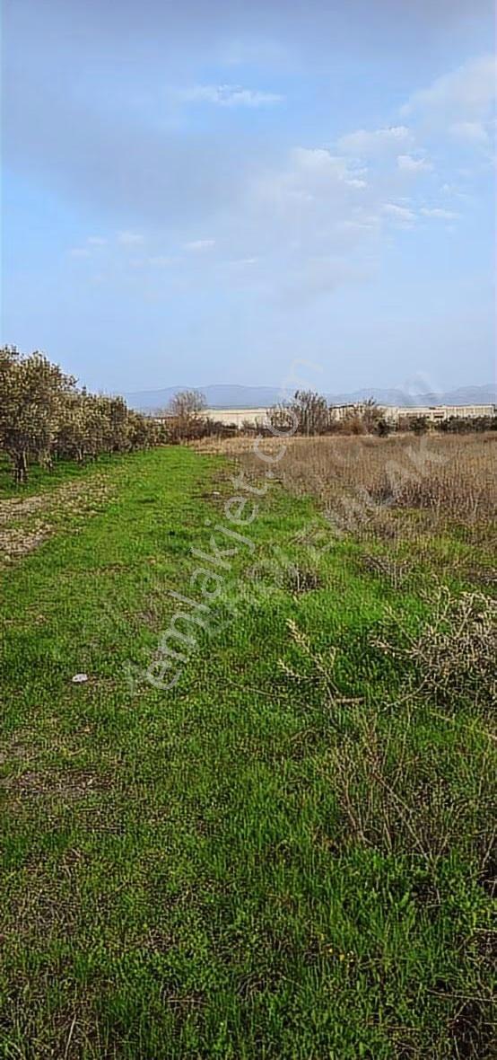 Osb Yanı Yatırımlık Hesaplı Arazi