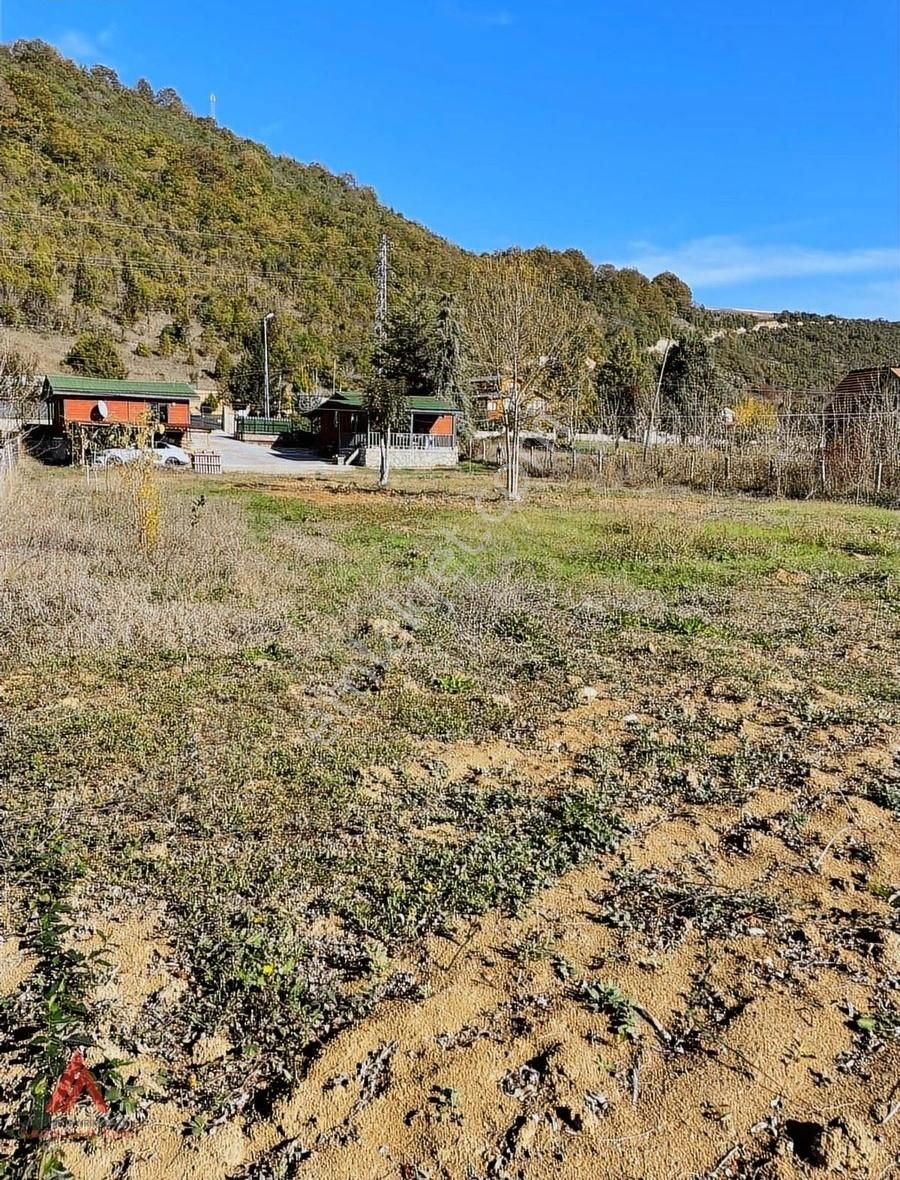 Ağva'nın En Güzel Bölgelerinden Bucaklı Da 1.610m2 Cd Üstü - Görsel 3