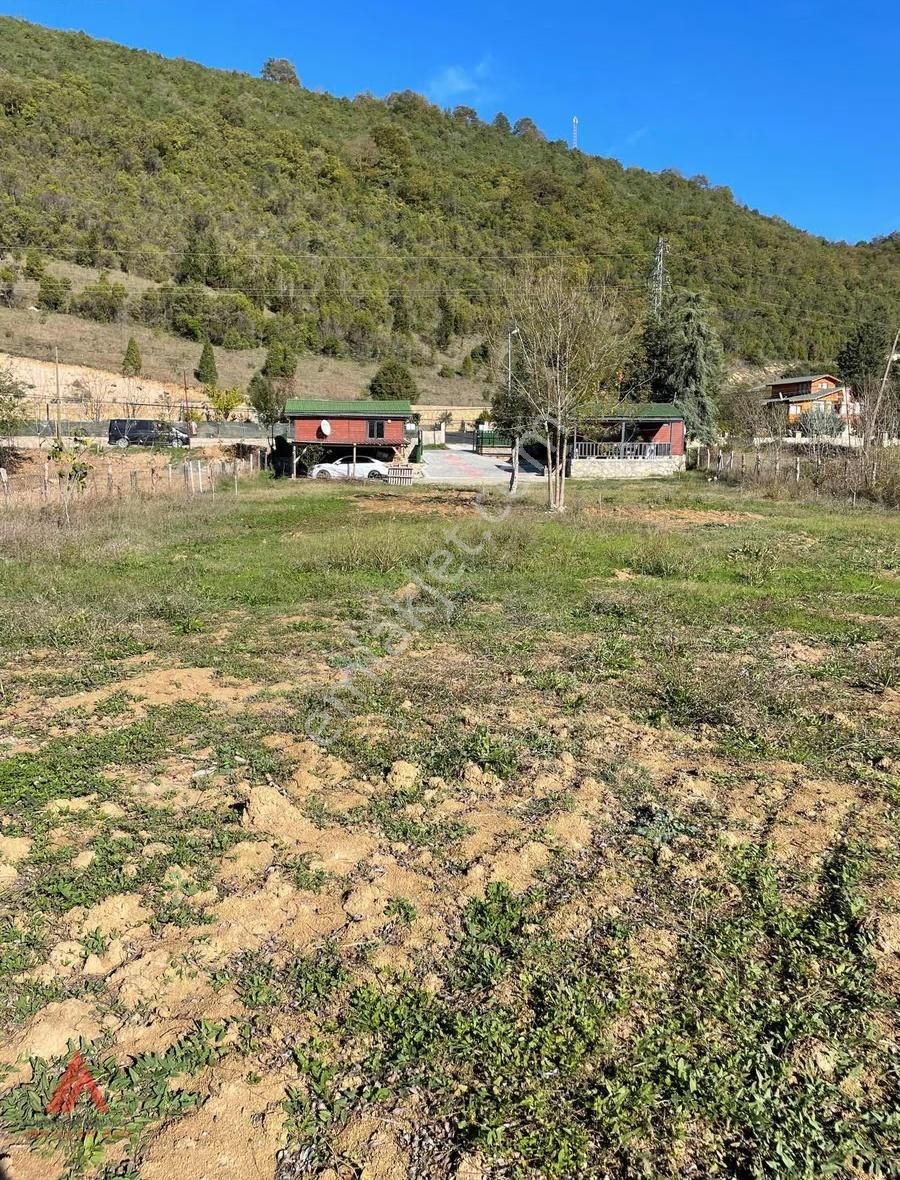 Ağva'nın En Güzel Bölgelerinden Bucaklı Da 1.610m2 Cd Üstü - Görsel 27