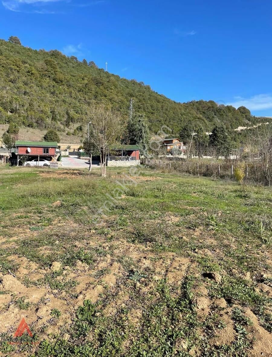 Ağva'nın En Güzel Bölgelerinden Bucaklı Da 1.610m2 Cd Üstü - Görsel 12