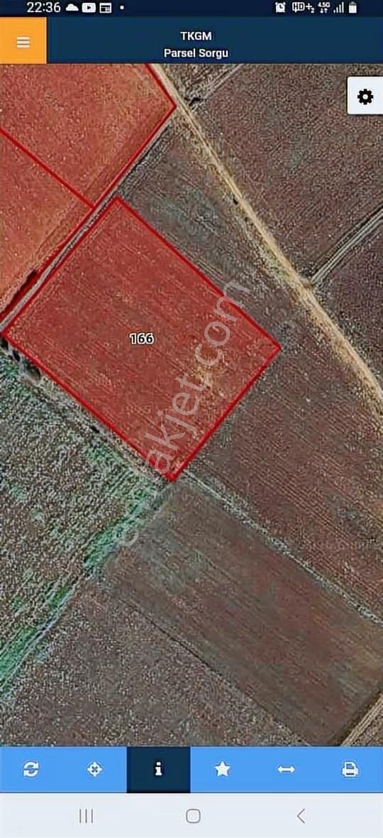 Karacabey Arız Köyde Satılık Yatırımlık Tarla - Görsel 5