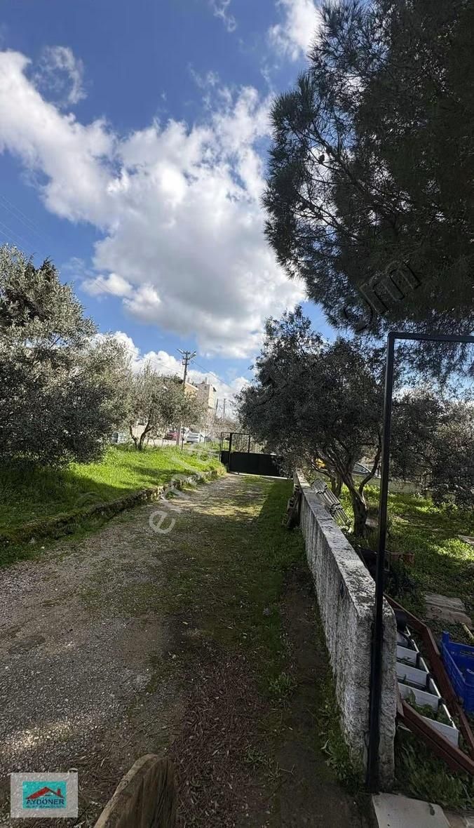 Buca Şirinkapı Mah Etrafı Ful Açık Bahçeli Müstakil Ev - Görsel 17