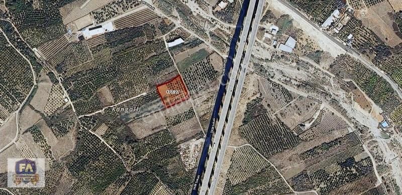 Fa'dan Mükemmel Yatırımlık Çavak Otaban Üstü Satılık 5 Donüm Ars