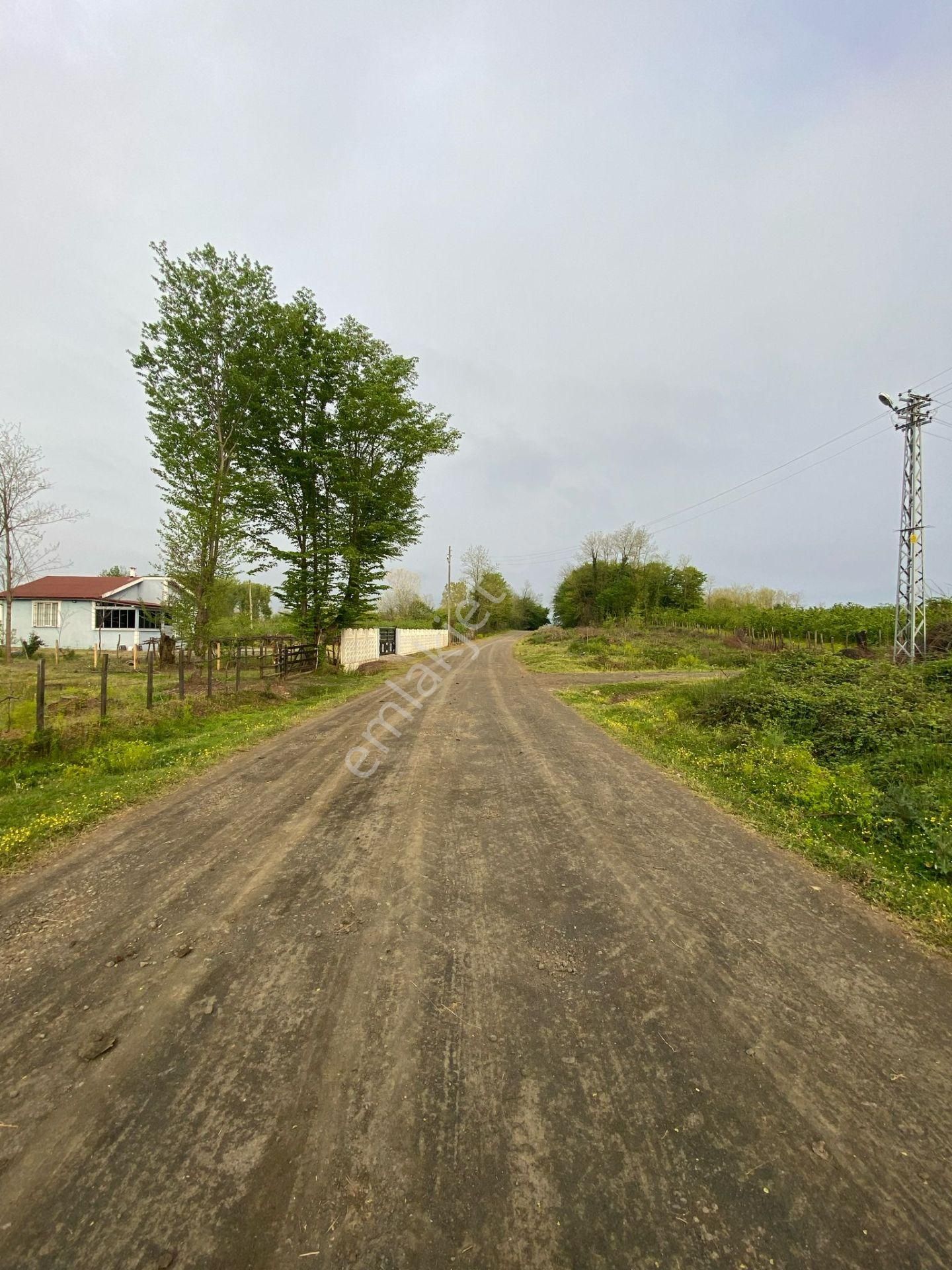 Sahibinden Acil Satılık 7305 M² Çarşamba Kürtün Fernek’te İki Yola Cepheli Yol Kenarı Tarla - Görsel 5