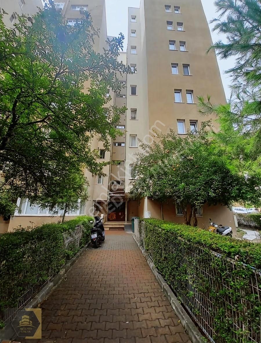 Halkalı'da Kentsel Dönüşüm Fırsatı: 3+1, 110m² Daire - Görsel 3