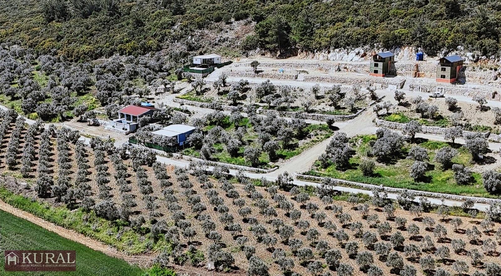 İzmir Menderes Çakaltepe300m2 Noter Satış Elektrik Su Manzaralı - Görsel 26