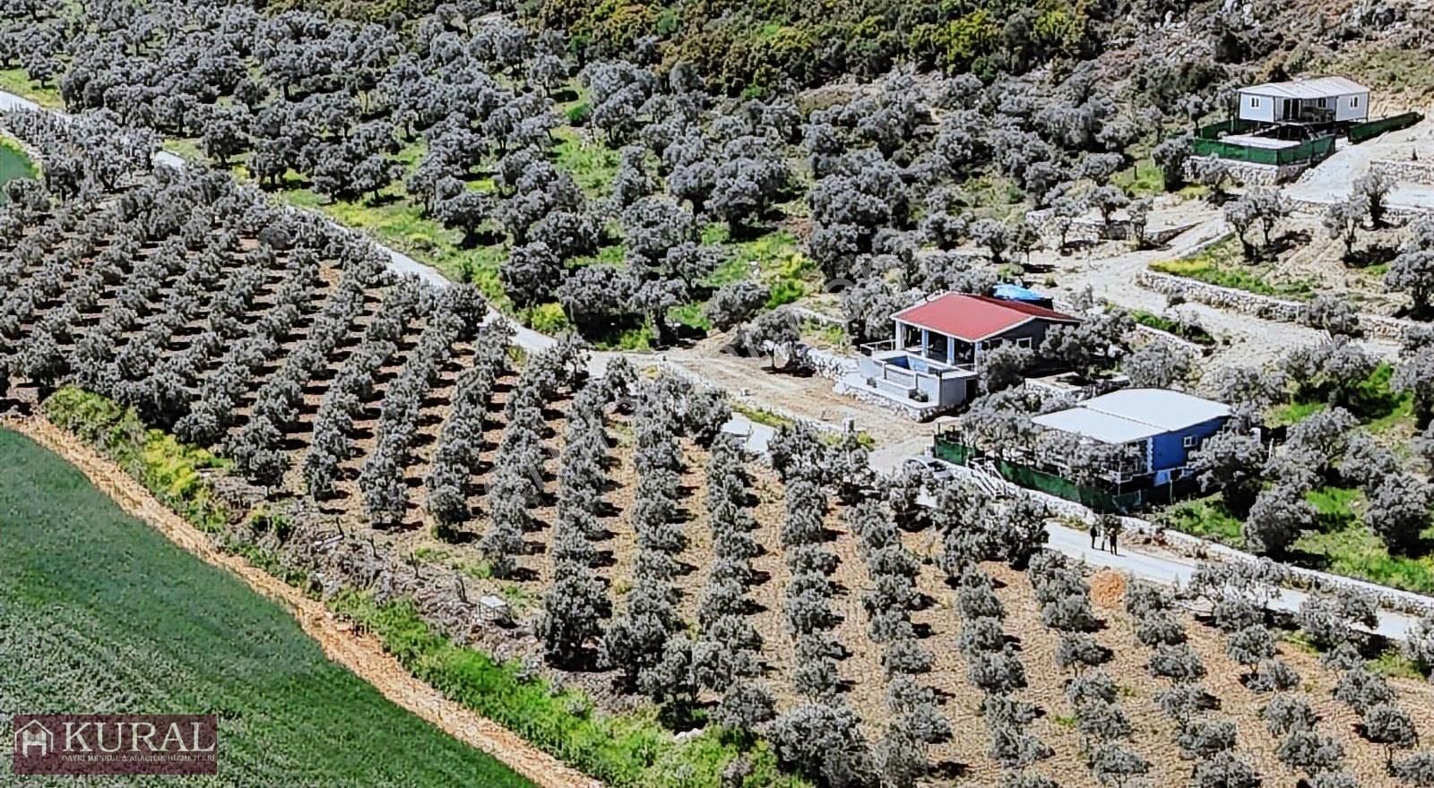 İzmir Menderes Çakaltepe300m2 Noter Satış Elektrik Su Manzaralı - Görsel 25