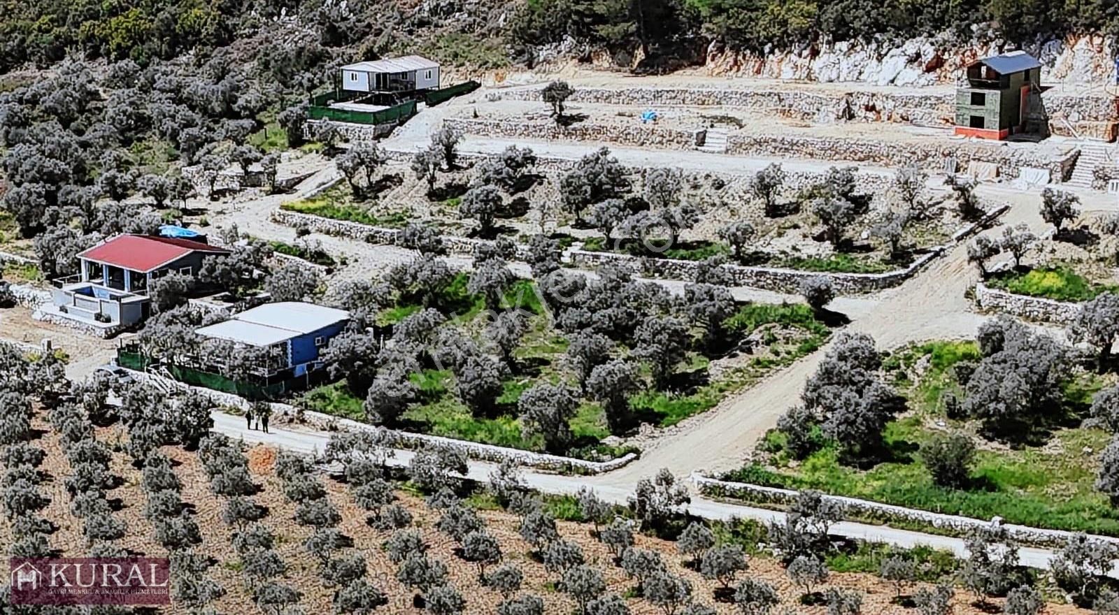 İzmir Menderes Çakaltepe300m2 Noter Satış Elektrik Su Manzaralı - Görsel 30