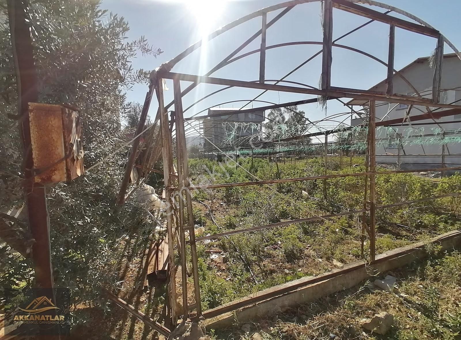 Muğla Fethiye Çamköy Karaculha Sınırında Satılık Tarla - Görsel 8