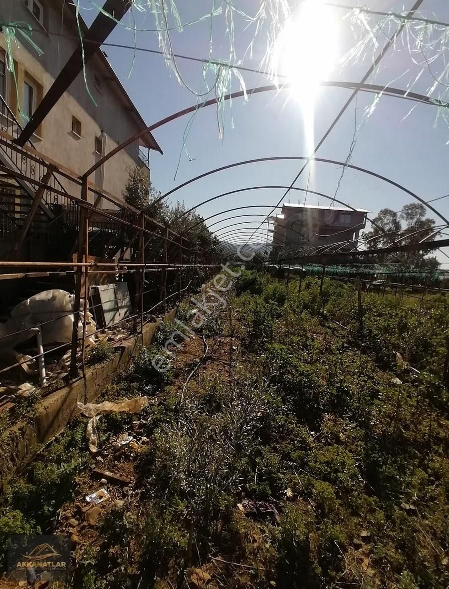 Muğla Fethiye Çamköy Karaculha Sınırında Satılık Tarla - Görsel 10
