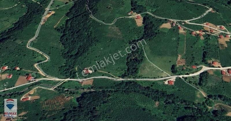 Atakum Erikli De 18680 M² Ev İle Satılık Yatırımlık Tarla - Görsel 8