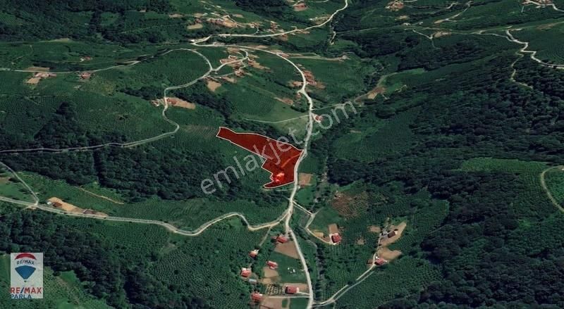 Atakum Erikli De 18680 M² Ev İle Satılık Yatırımlık Tarla - Görsel 5