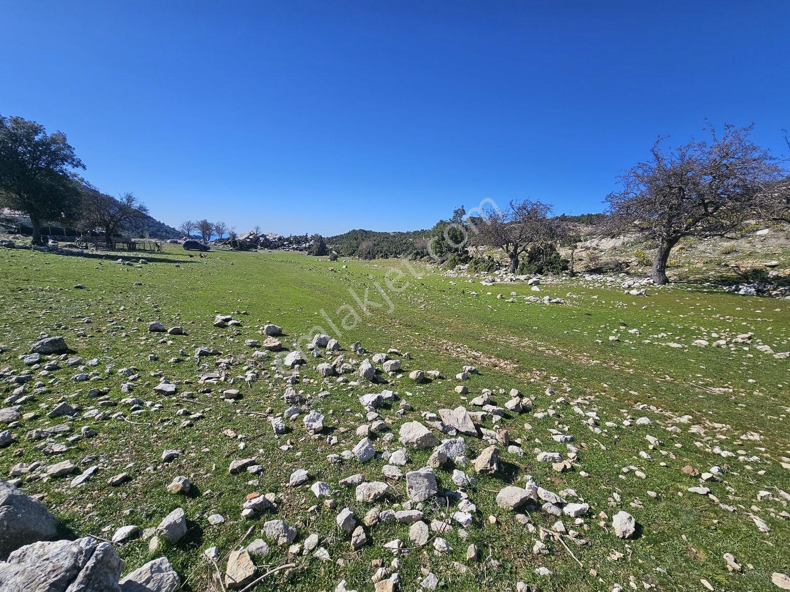 Muğla Fethiye Karaağaç'ta Doğayla İç İçe Manzaralı Satılık Arazi - Görsel 6