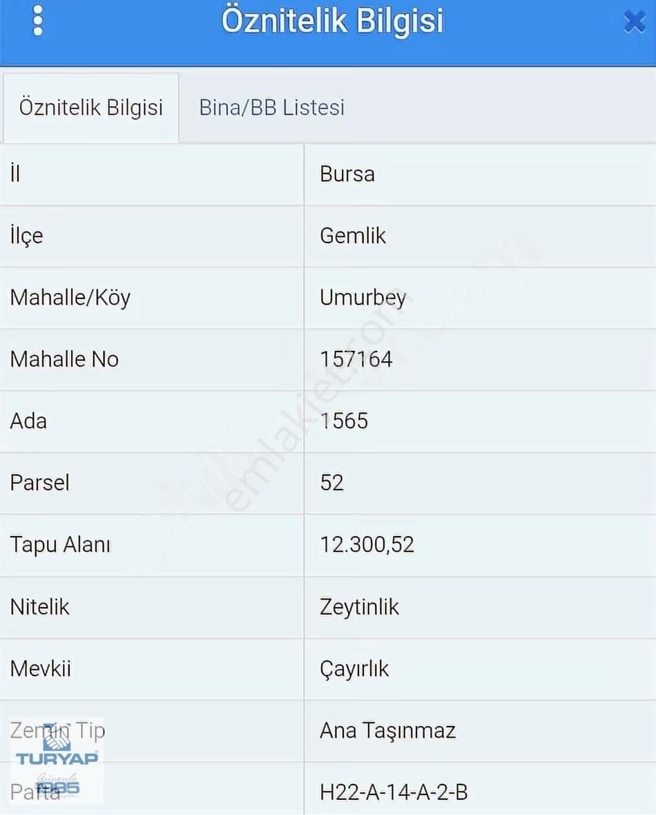 Turyap'tan;gemlik Umurbeyde,bakımlı,kadastro Yolu Olan Zeytinlik - Görsel 4