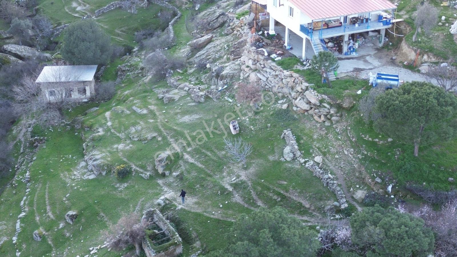 Aydın Koçarlı Gözkaya Mah. Satılık Bahçe - Görsel 35