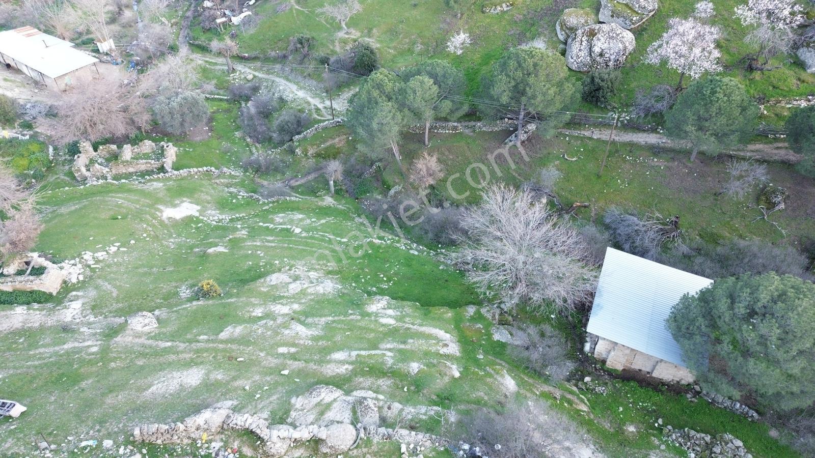 Aydın Koçarlı Gözkaya Mah. Satılık Bahçe - Görsel 32