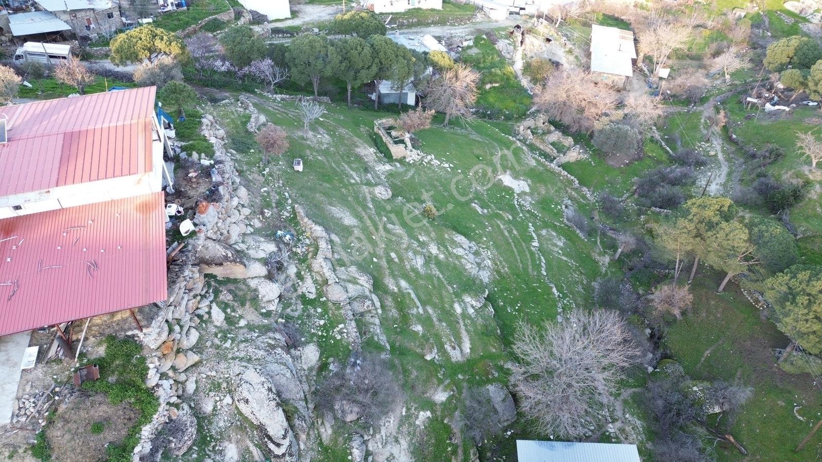 Aydın Koçarlı Gözkaya Mah. Satılık Bahçe - Görsel 26