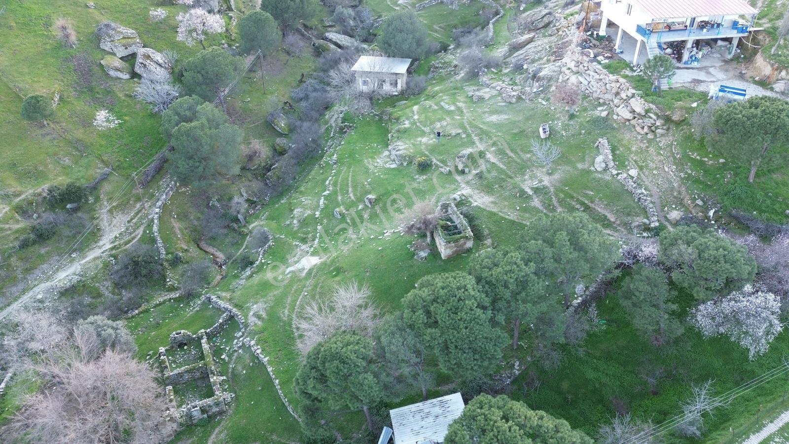Aydın Koçarlı Gözkaya Mah. Satılık Bahçe - Görsel 28
