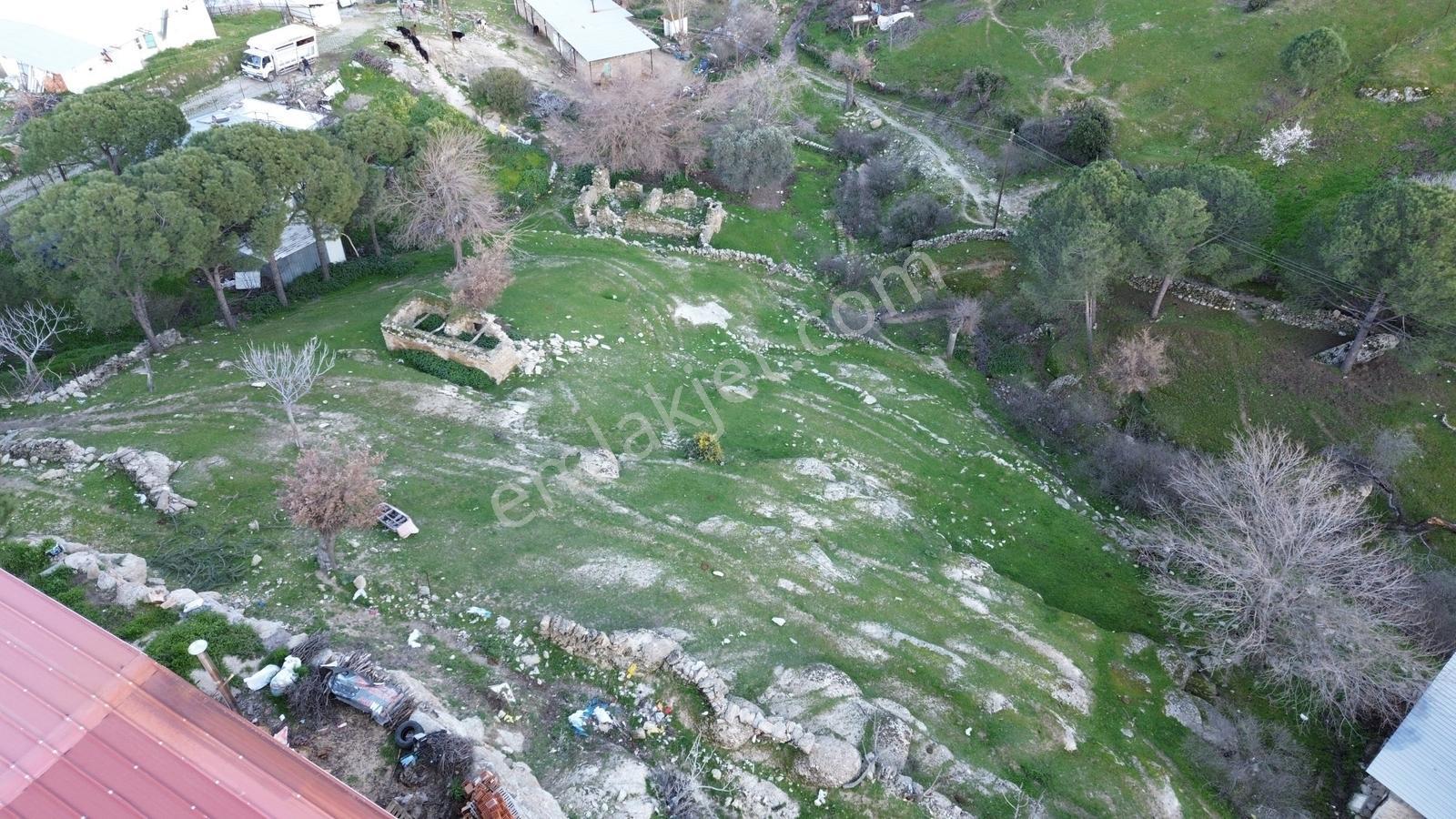 Aydın Koçarlı Gözkaya Mah. Satılık Bahçe - Görsel 21