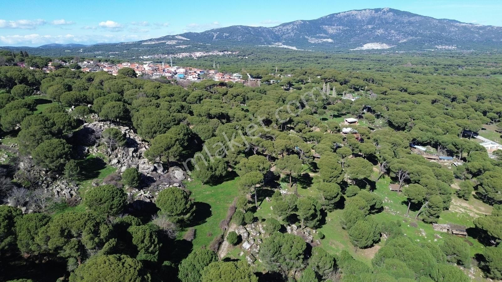 Bergama Kozak Göbeller Mahallesinde Satılık 3.966m2 Fıstıklık - Görsel 32