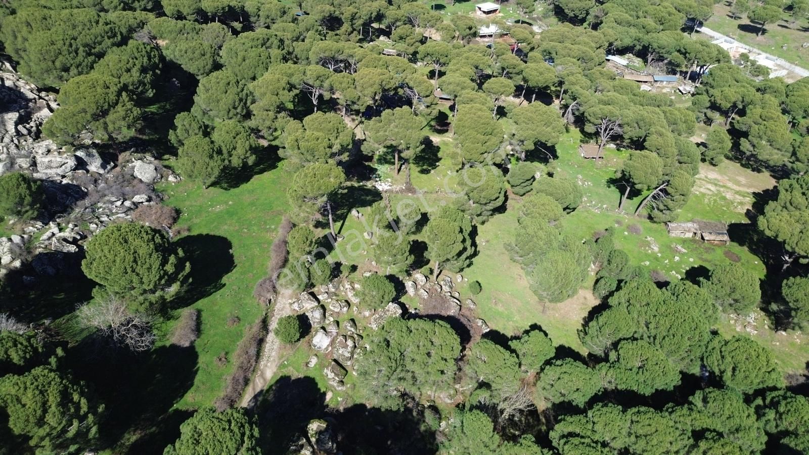 Bergama Kozak Göbeller Mahallesinde Satılık 3.966m2 Fıstıklık - Görsel 28