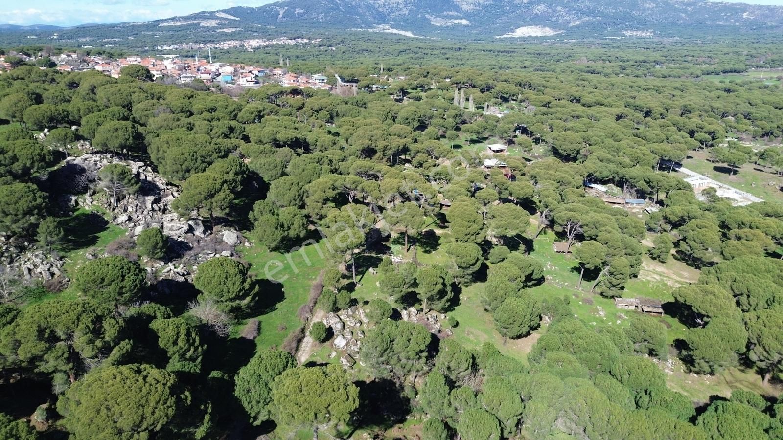 Bergama Kozak Göbeller Mahallesinde Satılık 3.966m2 Fıstıklık - Görsel 25