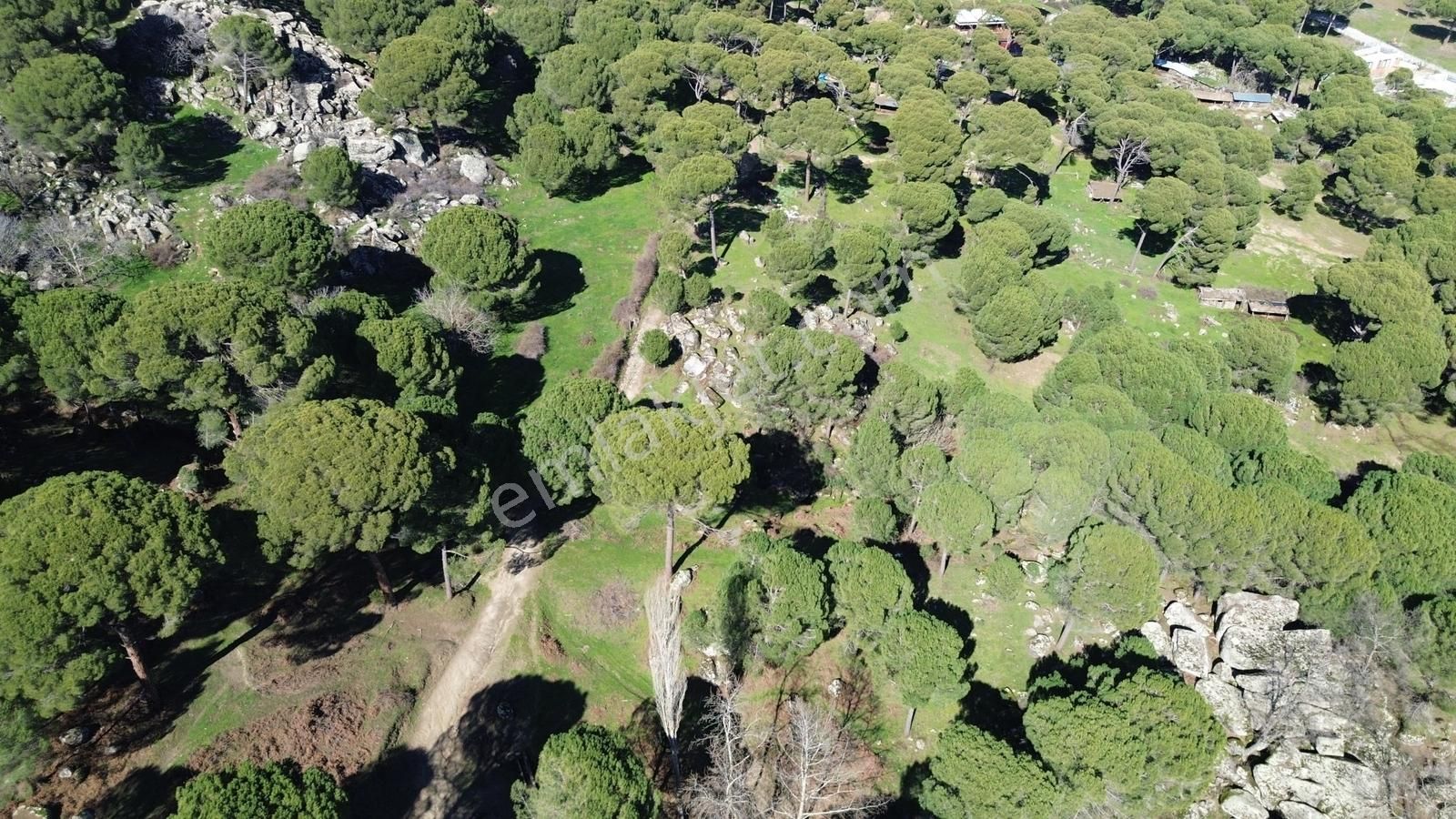 Bergama Kozak Göbeller Mahallesinde Satılık 3.966m2 Fıstıklık - Görsel 30