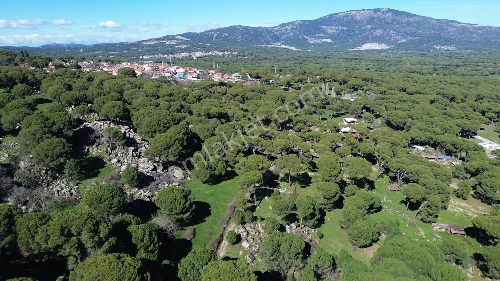 Bergama Kozak Göbeller Mahallesinde Satılık 3.966m2 Fıstıklık - Görsel 26