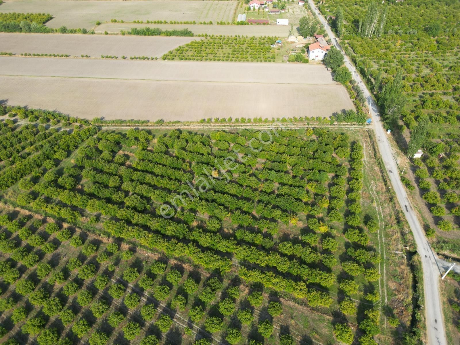 Muğla Ortaca Tepearası De 23 000 M² Müstakil Tarla Satılık - Görsel 3