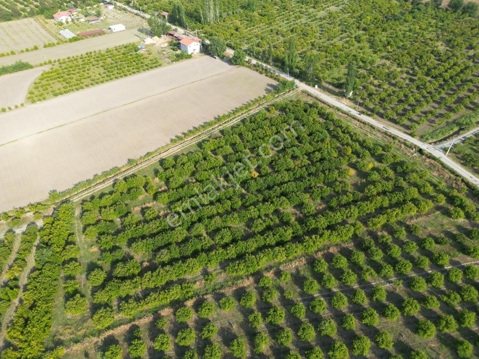 Muğla Ortaca Tepearası De 23 000 M² Müstakil Tarla Satılık - Görsel 10